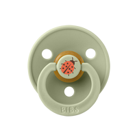 STUDIO Colour Pacifier Ladybug - Sage - Bibsworld store US