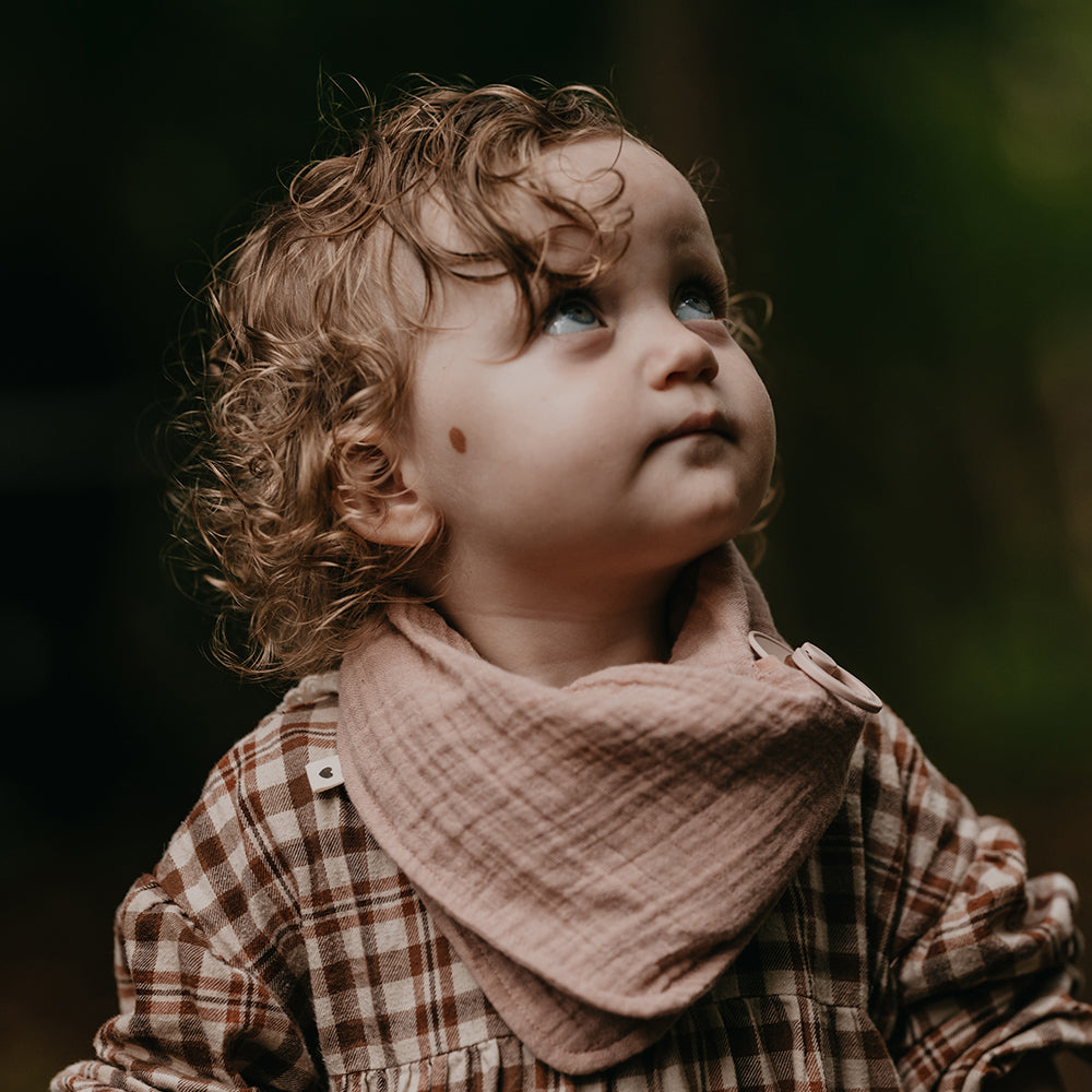 Bandana Bib - Blush