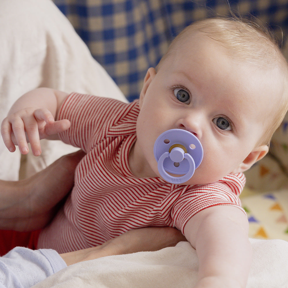 Colour Pacifiers 2 Pack - Hush/Grape